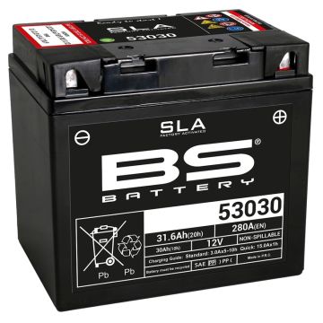 BS Battery In de fabriek geactiveerde onderhoudsvrije SLA-batterij - 53030