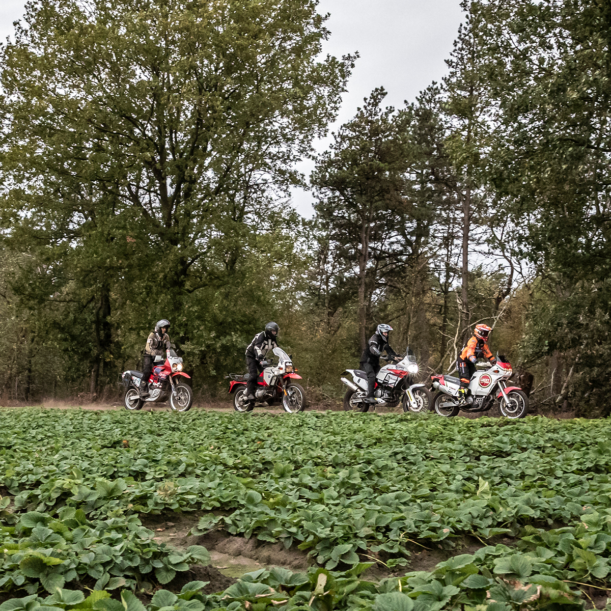 offroad met een klassiek dakar-tintje
